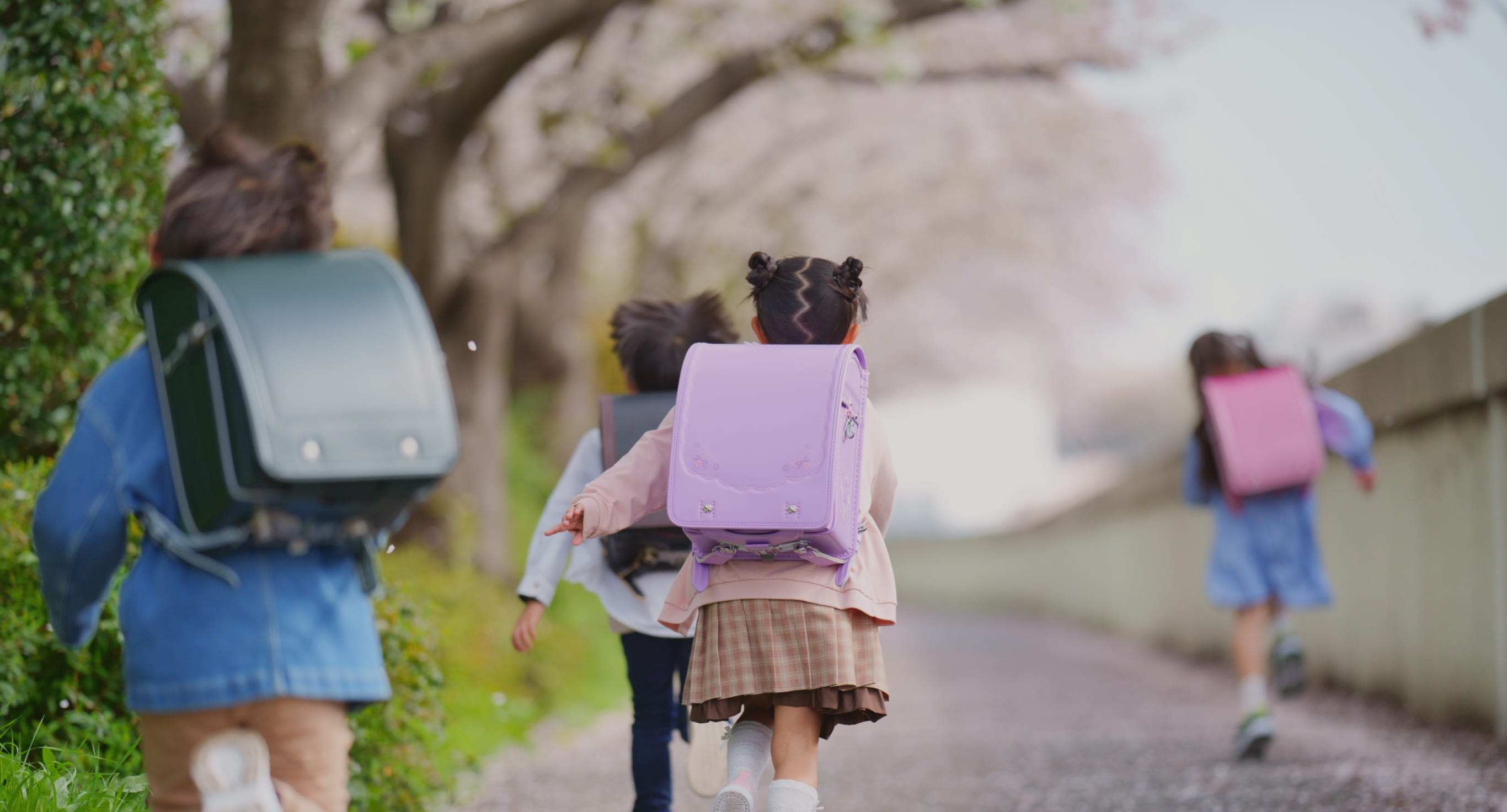 春の通学路を歩く小学生たち。紫色や黒のランドセルを背負い、満開の桜の木々の下で元気に前進している。